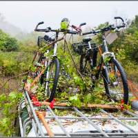 Нарубил дров при прочистке просеки велосипедами Грузия