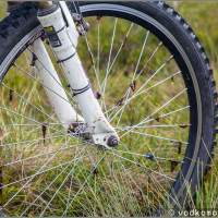 Колесо велосипеда Целау болото