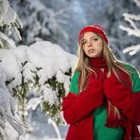 Девушка в зимнем лесу в красном 3 фотосессия