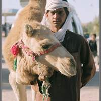 Бедуины подрабатывают фотомоделями - с верблюдом