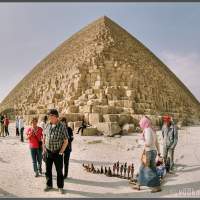 Пирамиды Гизы - обстановка