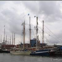 Росток BalticSail 2006