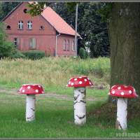 Быдгощский канал - грибы неимоверных размеров