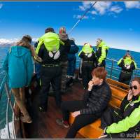 Исландия. Загрыз ногтей в ожидании встречи с китом