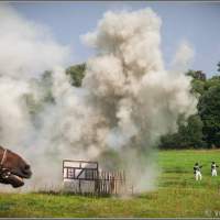 Коня испугали Битва под Фридландом 2015
