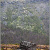 Обломок Тунгусского метеорита