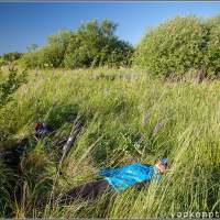 Отдых в высокой траве Целау болото