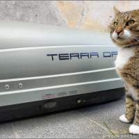 Тигр Шмель инспектирует автобокс Terra Drive 440