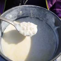 Каша рисовая на молоке велопоход Беларусь