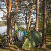 Утро на озере Молочное - кок трясет на завтрак орехи велопоход Беларусь