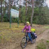 На велодорожке Липичанской пущи велопоход Беларусь:
